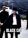 Black Cat