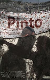 Pinto