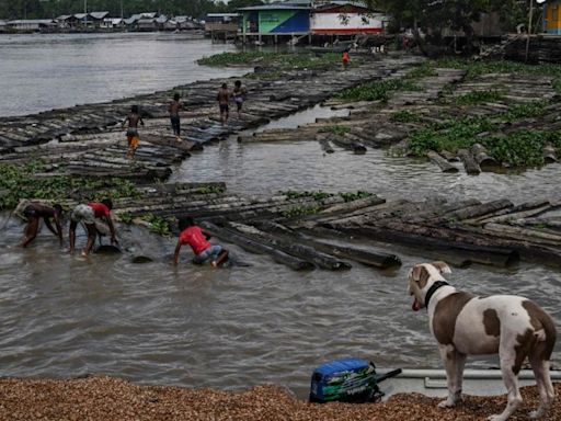 Niños y adolescentes, víctimas de reclutamiento forzado en Colombia, son usados como escudos de guerra, alerta Petro