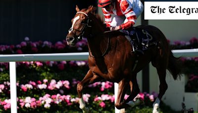 Hand Of God wins at Royal Ascot 38 years to the day after Maradona’s goal against England