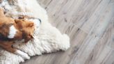 7 Easy Ways to Change Your Flooring