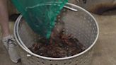 Southeast Texas prepares for crawfish season’s end| App helps with finding lowest prices