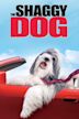 The Shaggy Dog (2006 film)