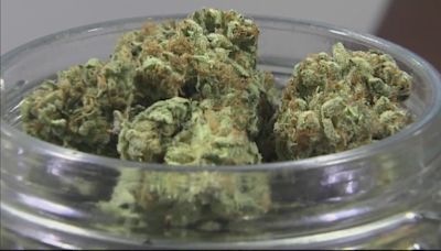 Arkansas Alcoholic Beverage Control Division revokes Hot Springs dispensary's medical marijuana permit