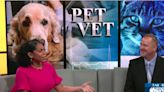Pet Vet: What’s causing urinary accidents in your home?