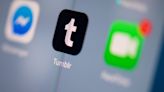 Tumblr mocks Twitter by selling two useless blue ticks for $8