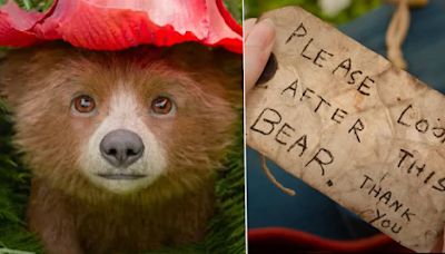 New Paddington 3 trailer charts the bear's wild journey in Peru and gives us our first look at Baby Paddington