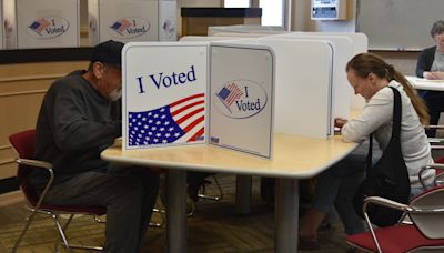 Almost 24% of Idaho’s registered voters voted in primary election, initial estimates show - East Idaho News