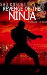 Revenge of the Ninja