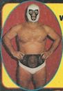 Mr. Wrestling II