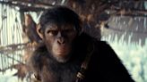 'Kingdom of the Planet of the Apes' reigns at the box office