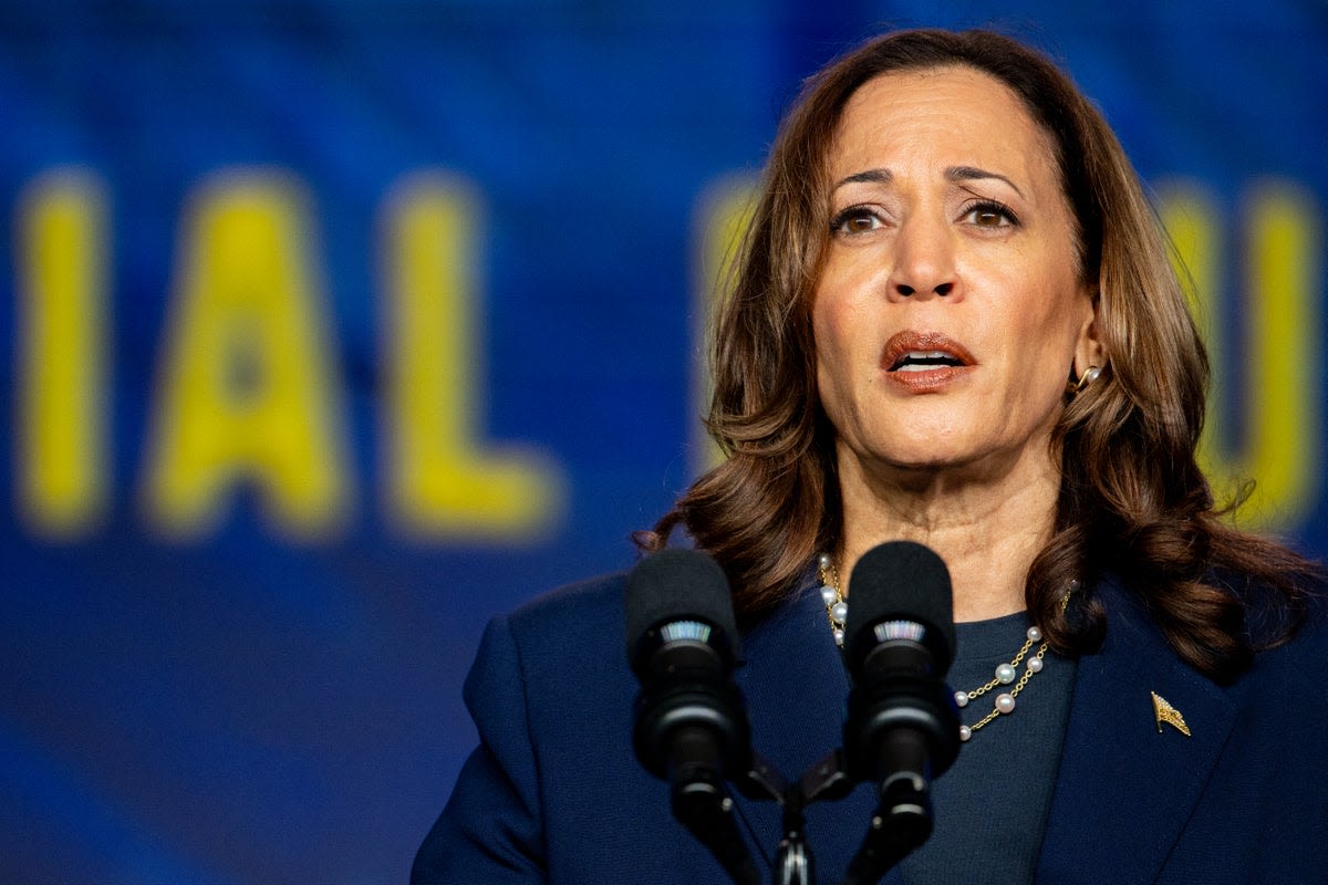 Harris blasts Trump attacks on her heritage as ‘same old show of divisiveness’ at Texas sorority event: Live