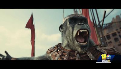 DC Film Girl interviews 'Kingdom of the Planet of the Apes' cast