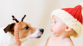 'Talking' Dog Tells New Baby Brother Her Name in the Cutest Way