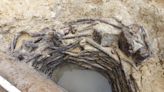 Archaeologists discover "rare," well-preserved Bronze Age wooden structure