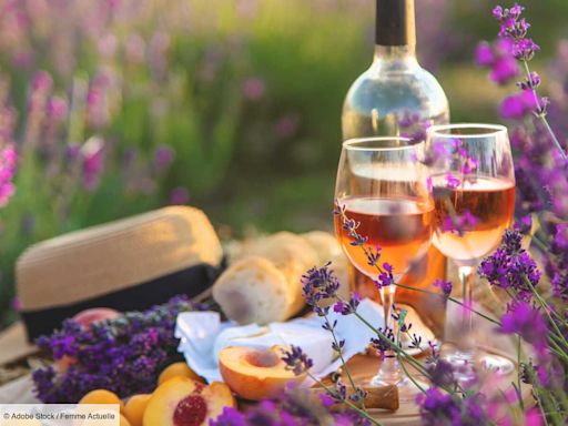 Vins rosés : lesquels déguster sur la route de vos vacances ?