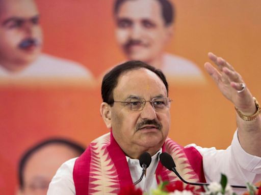 Congress Means Bad Governance, Corruption: Union Minister JP Nadda Slams Party At Rohtak Rally