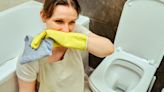Banish stubborn toilet urine smells with £1 item that works like a dream fast