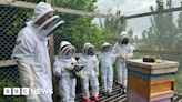 Devon school trains pupils to be 'mini beekeepers'