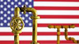 US natgas prices drop 7% on record output, mild weather