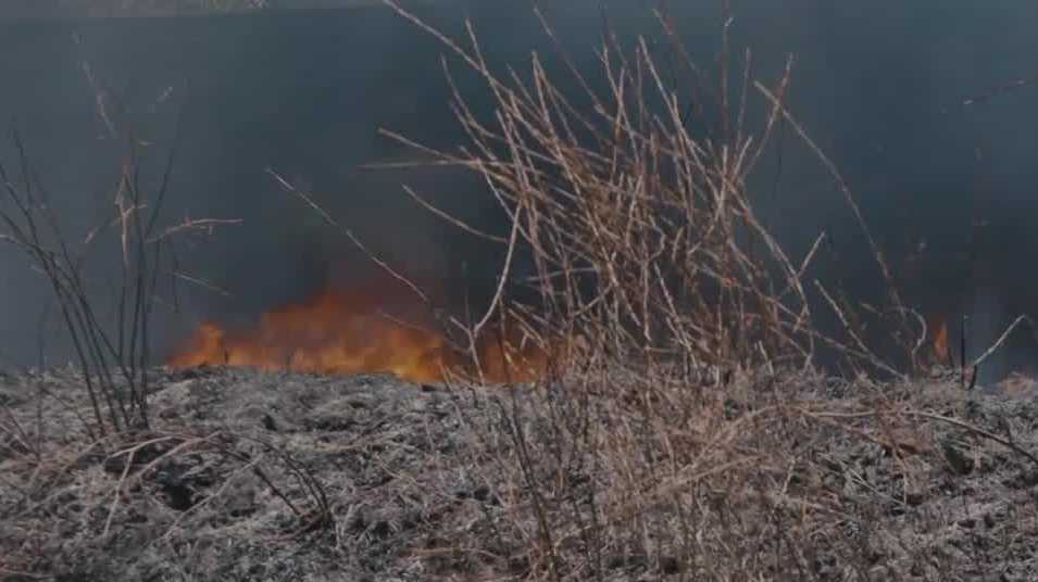 UC Davis study shows how wildfire smoke affects ecosystems of lakes across California