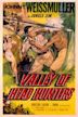 Valley of the Head Hunters