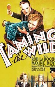 Taming the Wild