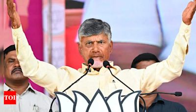 CM N Chandrababu Naidu to address district collectors' meet today | Vijayawada News - Times of India