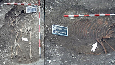 Two ancient women buried together in Austria in first of its kind find. ‘Remarkable’