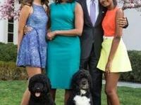 Former US president Barack Obama and family, seen here with their dogs, at the White House in 2015