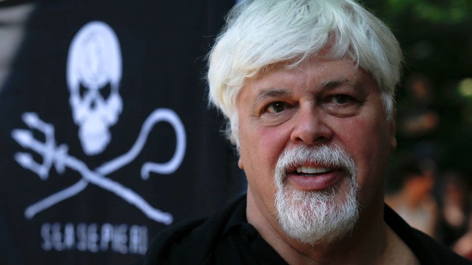 Veteran anti-whaling activist Paul Watson could be extradited to Japan after arrest in Greenland, his foundation says