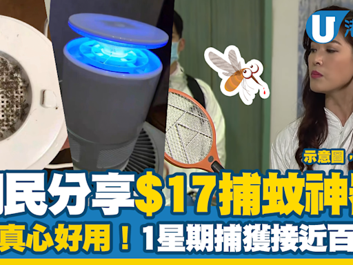 網民分享$17捕蚊神器 大讚真心好用！一星期捕獲接近百隻蚊