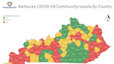 Latest COVID-19 subvariant BA.5 is sweeping through Louisville. Here's what to know