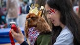 At King Charles III's coronation, these dogs stole the show