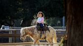 How animal rights, changing times doomed Griffith Park pony rides