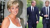 William and Harry won't inherit Diana's childhood home as surprising heir gets Althorp property