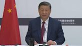 Xi elaborates on China's position on Palestinian-Israeli conflict, Ukraine crisis