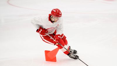 Red Wings hopeful they have steal in late bloomer Ondrej Becher