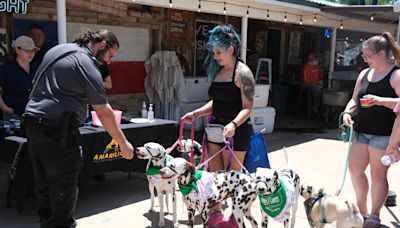 Thousands turn out for a furry day of fun at Amarillo Muttfest