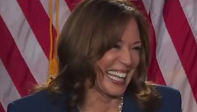‘Extraordinary rollout’: After meteoric campaign launch, the hunt for Harris' perfect VP
