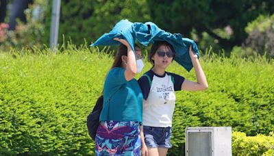 台北天氣高溫炎熱（1） (圖)