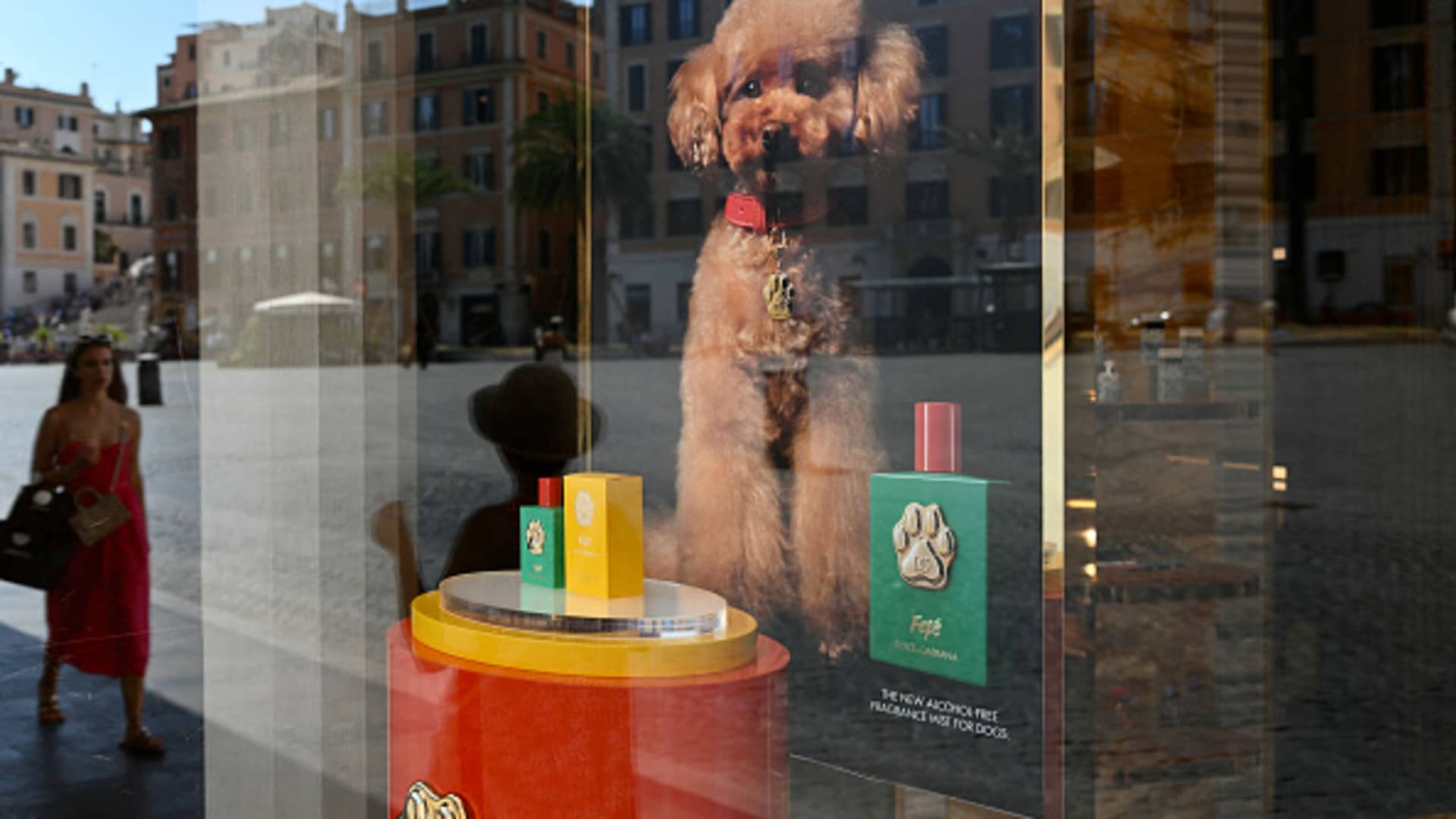 Dolce & Gabbana launches $100 perfume for dogs inspired by owner's poodle