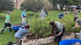Volunteers help with work at pollinator sanctuary at Fort Cavazos
