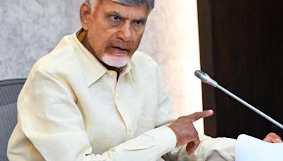 Release input subsidy to farmers: Naidu