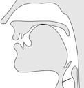 Voiceless palatal nasal