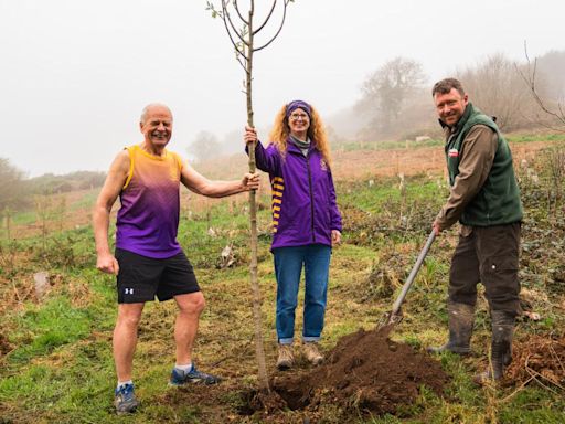 1,400 trees planted at Cornish attraction - one for every marathon runner