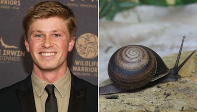 Robert Irwin Is 'Thrilled and Honored' for New Snail Species Discovered in Australia to Be Named After Him