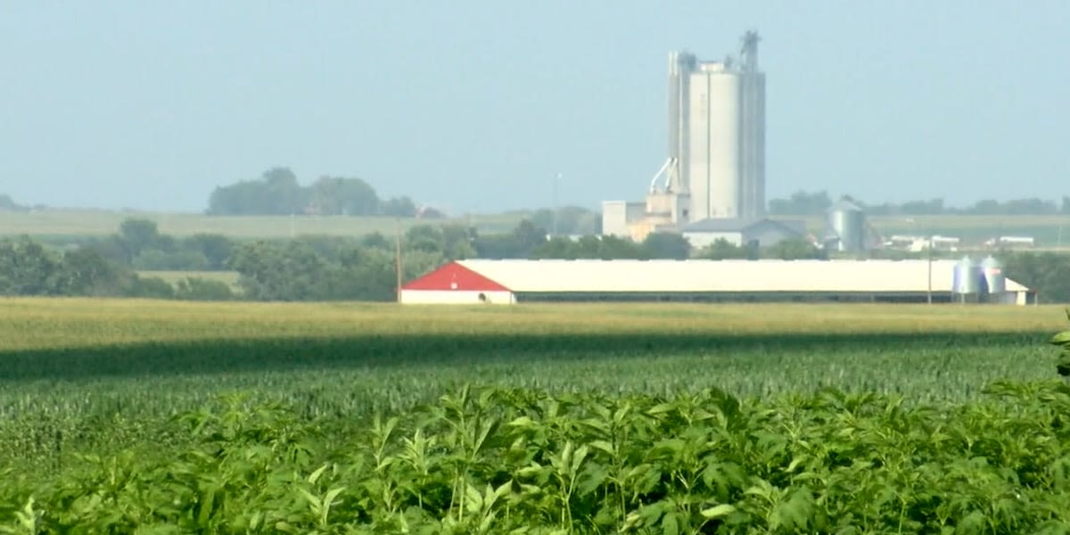 Monday’s high winds and potential hail poses a risk to crops in the area