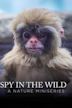 Spy in the Wild: A Nature Miniseries