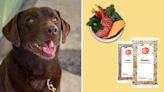 Treat your dog to healthy meals with this deal from The Farmer's Dog